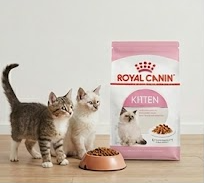 thuc an hat cho meo royal canin